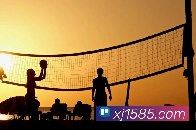 奖项证书